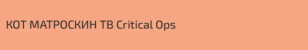 КОТ МАТРОСКИН ТВ Critical Ops